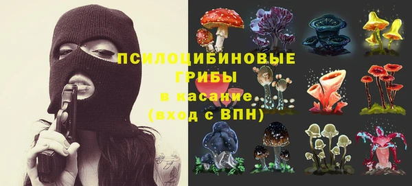 твердый Зеленокумск