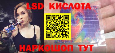 гидропоника Гусев