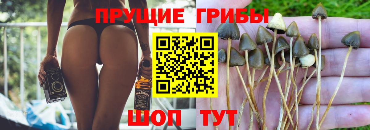 Галлюциногенные грибы прущие грибы  что такое   Вход с VPN  Белорецк  Псилоцибиновые грибы прущие грибы 
