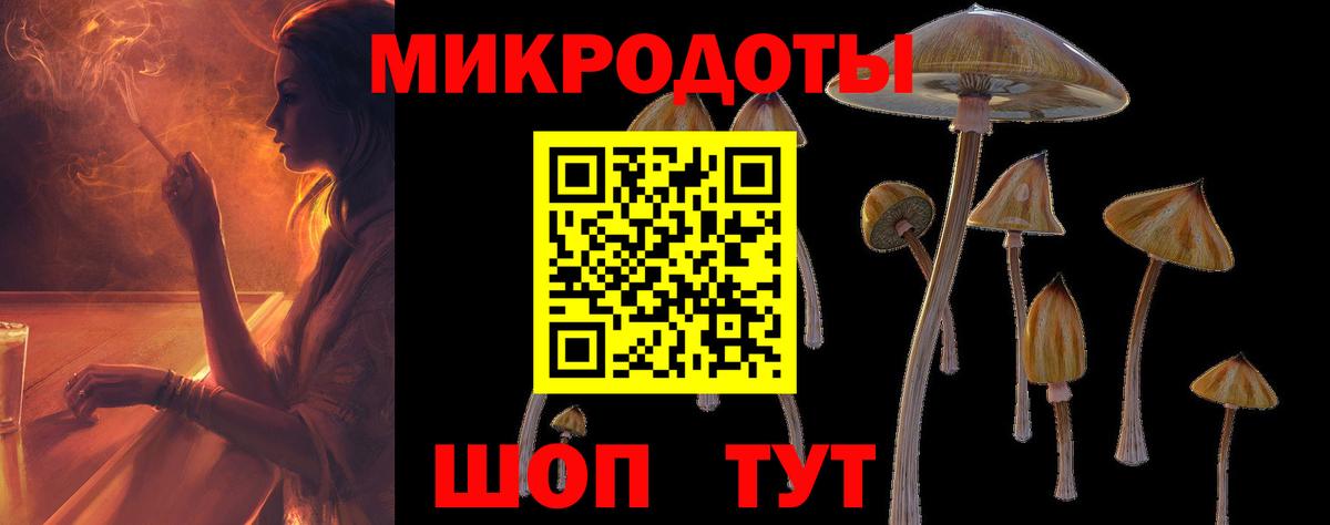 Псилоцибиновые грибы Psilocybine cubensis Белорецк